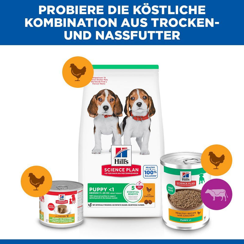 Hills Science Plan Canine Hund Puppy Huhn Dosenfutter
