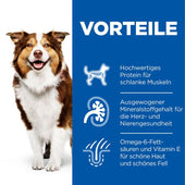 Hills Science Plan Canine Mature Adult 7+ Hund Huhn Dosenfutter