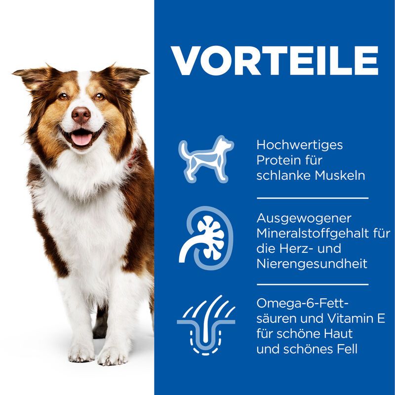 Hills Science Plan Canine Mature Adult 7+ Hund Huhn Dosenfutter