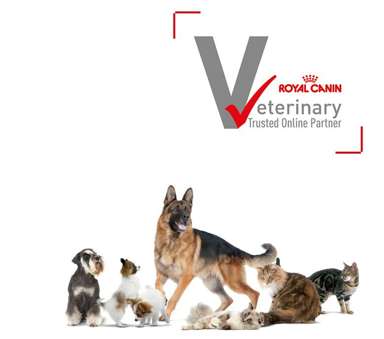 Tierarzt Dr. Hölter ist Royal Canin Veterinary Trusted Online Partner Card Image