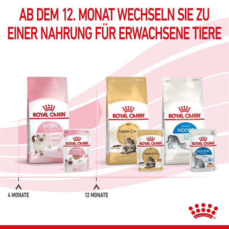 Royal Canin Kitten in Mousse Frischebeutel