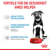 Royal Canin Maxi Puppy Frischebeutel