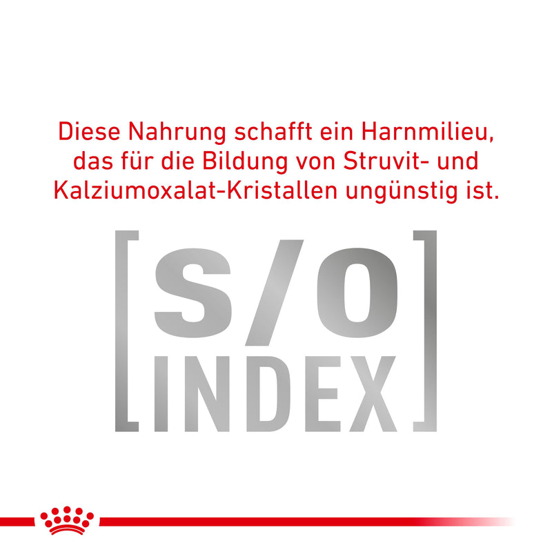 Royal Canin Diabetic Nassfutter für Katzen