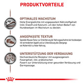 Royal Canin Gastrointestinal Puppy Dosen