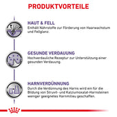 Royal Canin Dog Adult Feine Stückchen in Soße Frischebeutel für Hunde