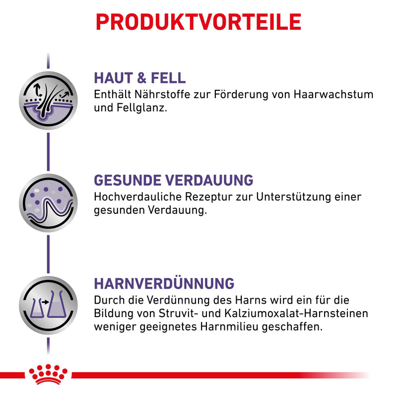 Royal Canin Dog Adult Feine Stückchen in Soße Frischebeutel für Hunde