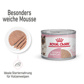 Royal Canin Mother & Babycat Mousse