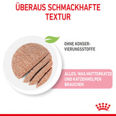 Royal Canin Mother & Babycat Mousse