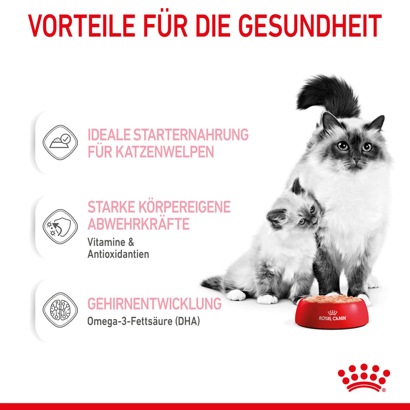 Royal Canin Mother & Babycat Mousse
