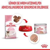 Royal Canin Mother & Babycat Mousse