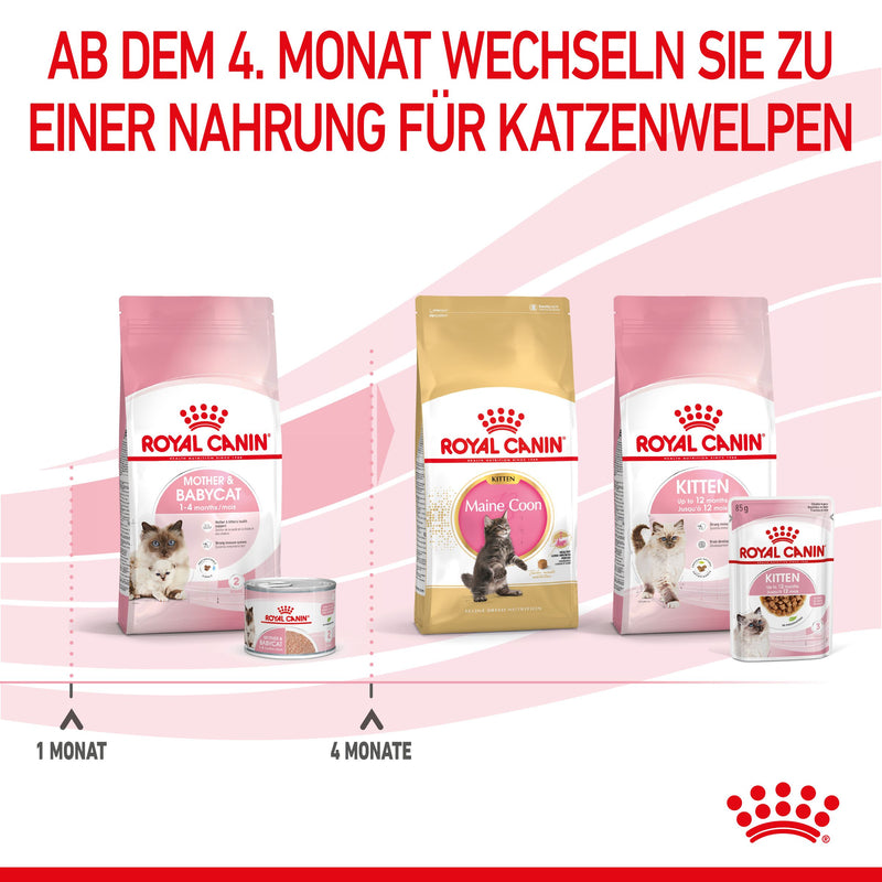 Royal Canin Mother & Babycat Mousse