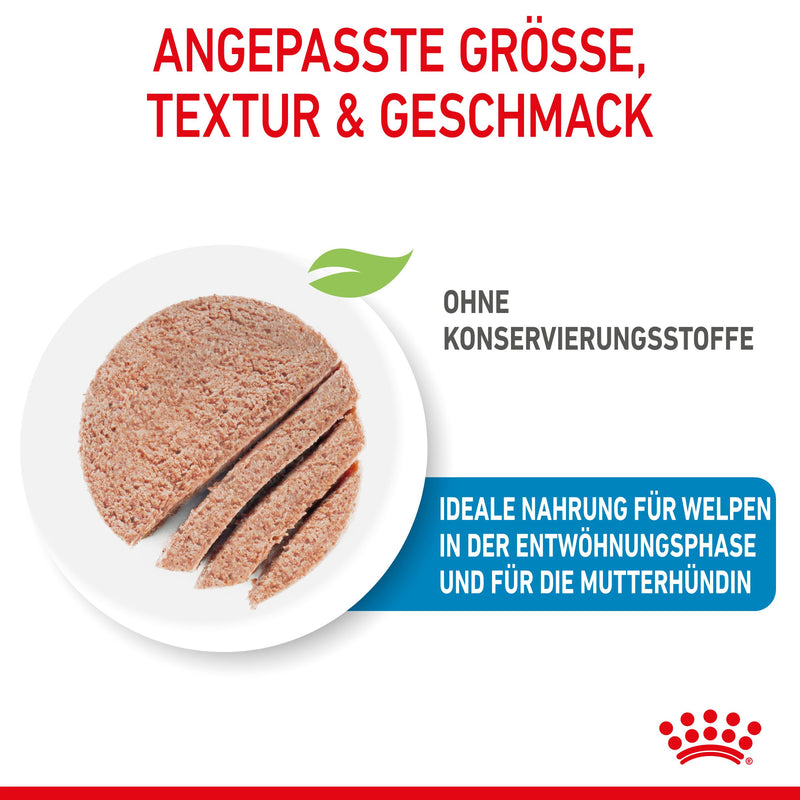 Royal Canin Starter Ultra Soft Mousse für Welpen