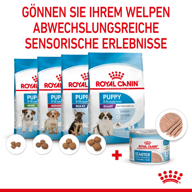 Royal Canin Starter Ultra Soft Mousse für Welpen