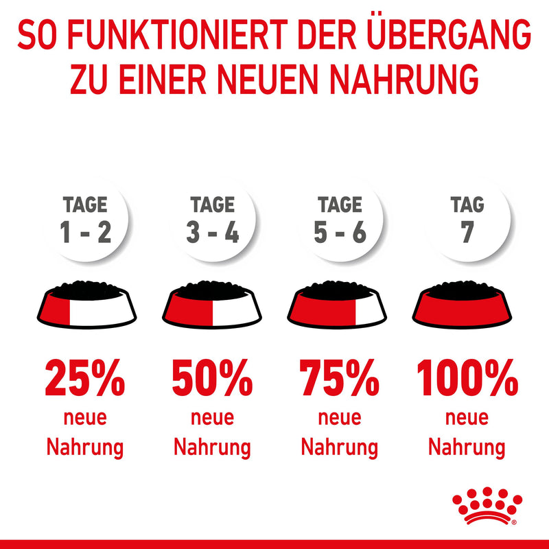 Royal Canin Starter Ultra Soft Mousse für Welpen