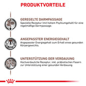 Royal Canin Gastrointestinal Fibre Response in Soße Frischebeutel