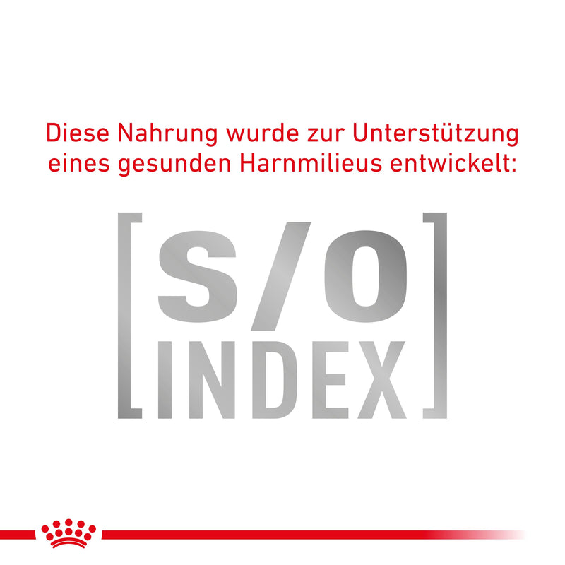 Royal Canin Gastrointestinal Fibre Response in Soße Frischebeutel