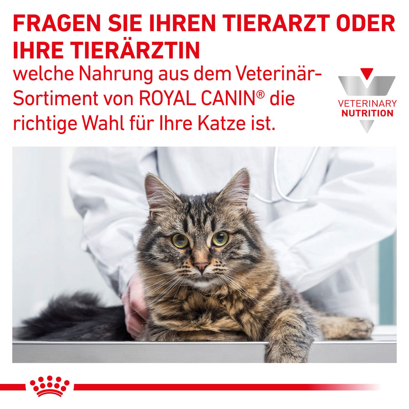 Royal Canin Gastrointestinal Fibre Response in Soße Frischebeutel