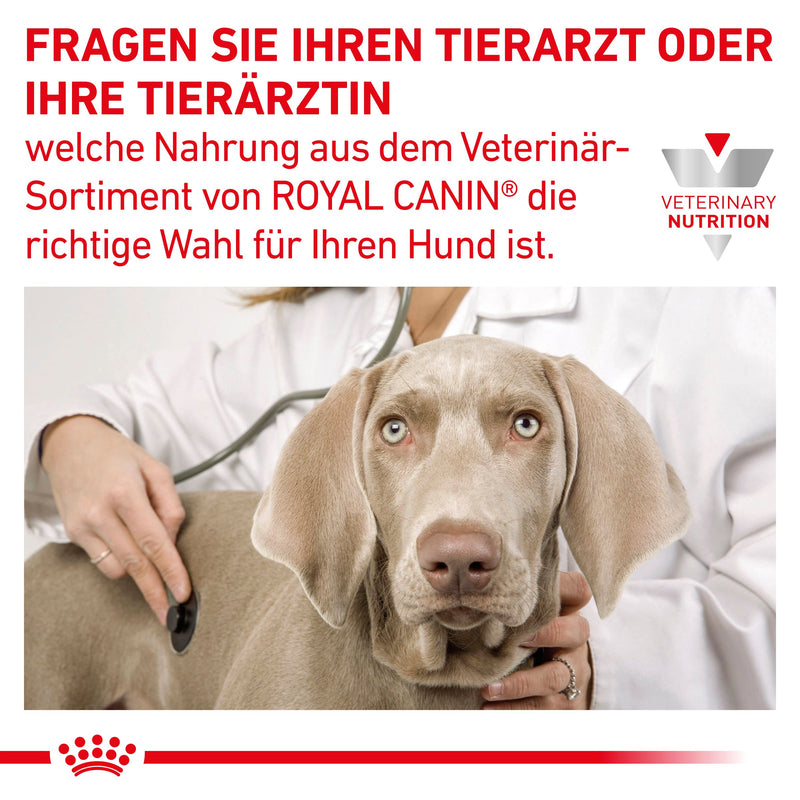 Royal Canin Gastrointestinal High Fibre Mousse Dosen