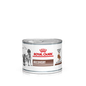 Royal Canin Recovery Hund und Katze