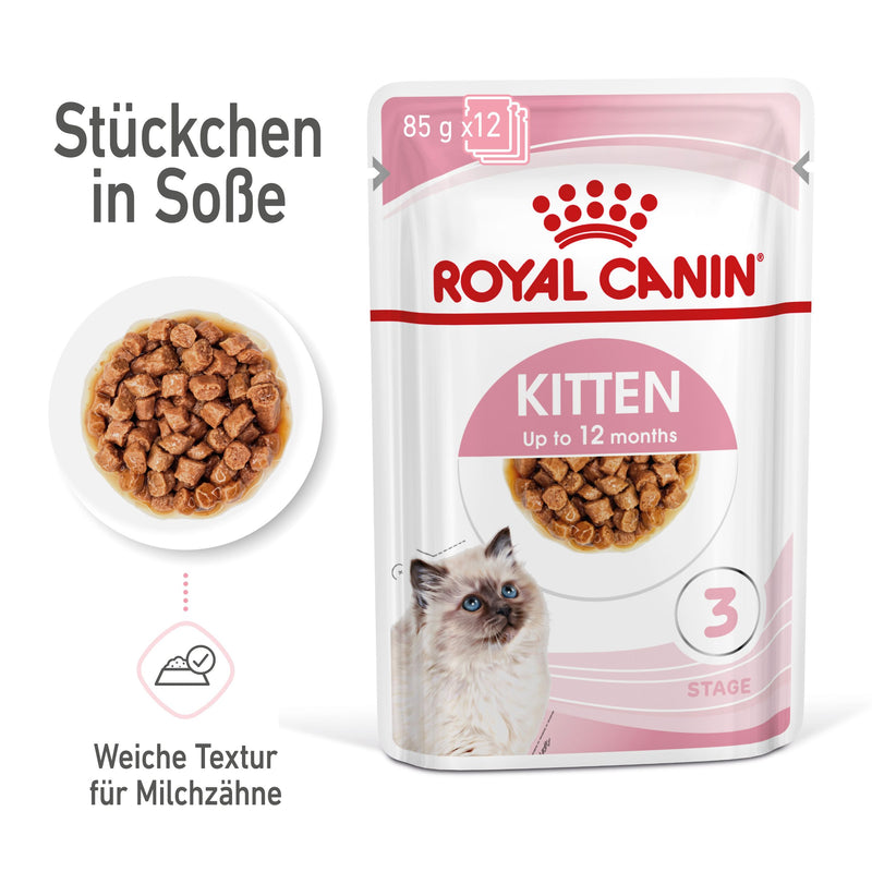 Royal Canin Kitten Second Age für Kätzchen bis zum 12. Monat