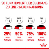 Royal Canin Kitten Second Age für Kätzchen bis zum 12. Monat