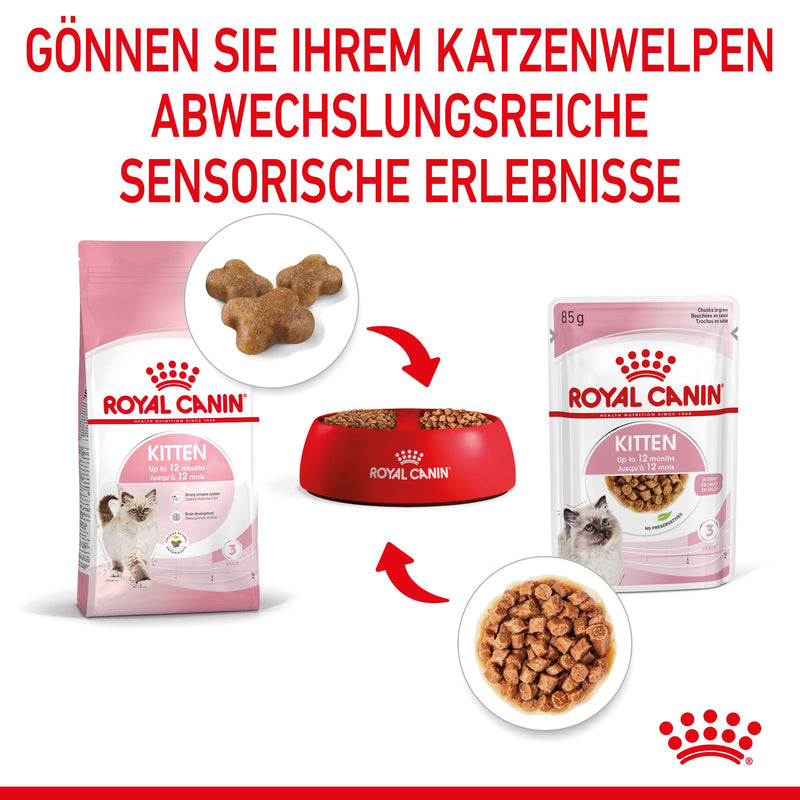 Royal Canin Kitten Second Age für Kätzchen bis zum 12. Monat