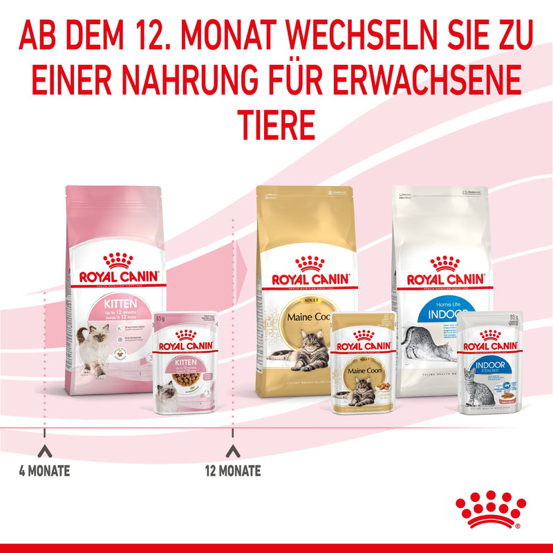 Royal Canin Kitten Second Age für Kätzchen bis zum 12. Monat