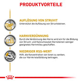 Royal Canin Urinary S/O Mousse Hund Dosen