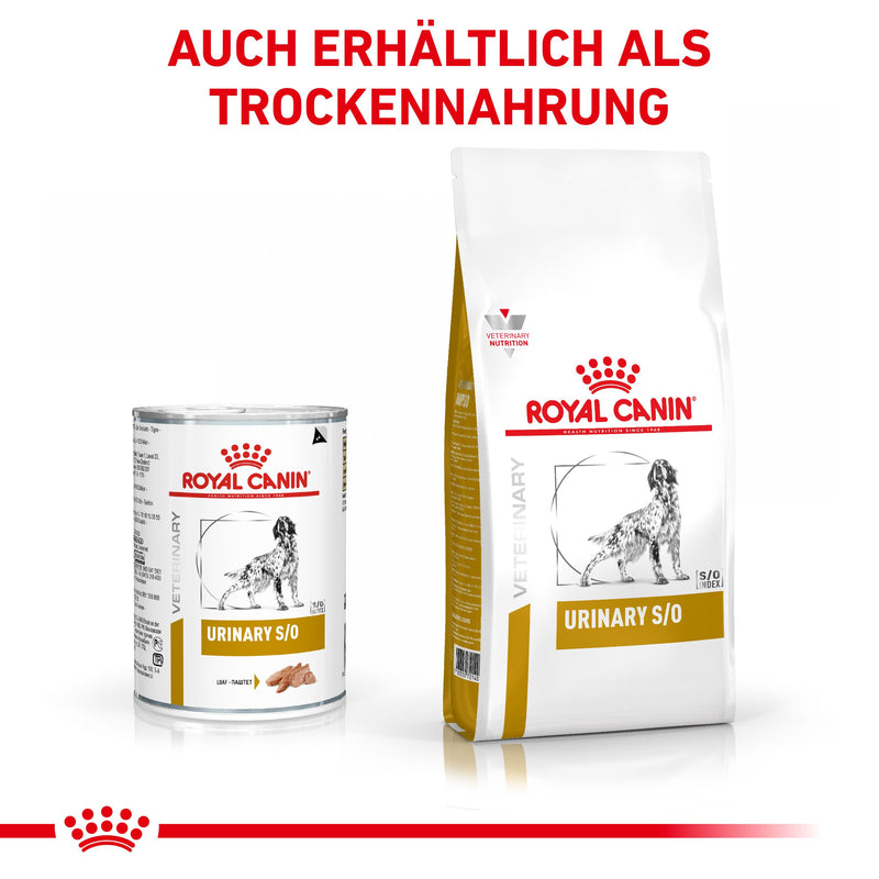 Royal Canin Urinary S/O Mousse Hund Dosen