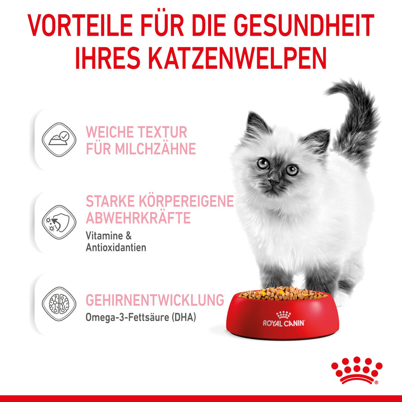 Royal Canin Kitten in Gelee Frischebeutel