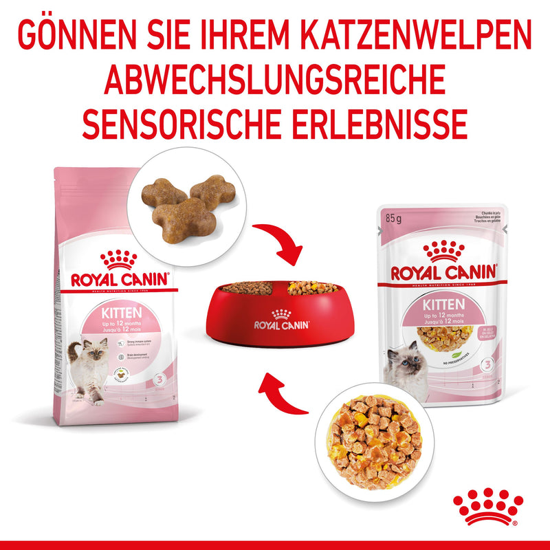 Royal Canin Kitten in Gelee Frischebeutel
