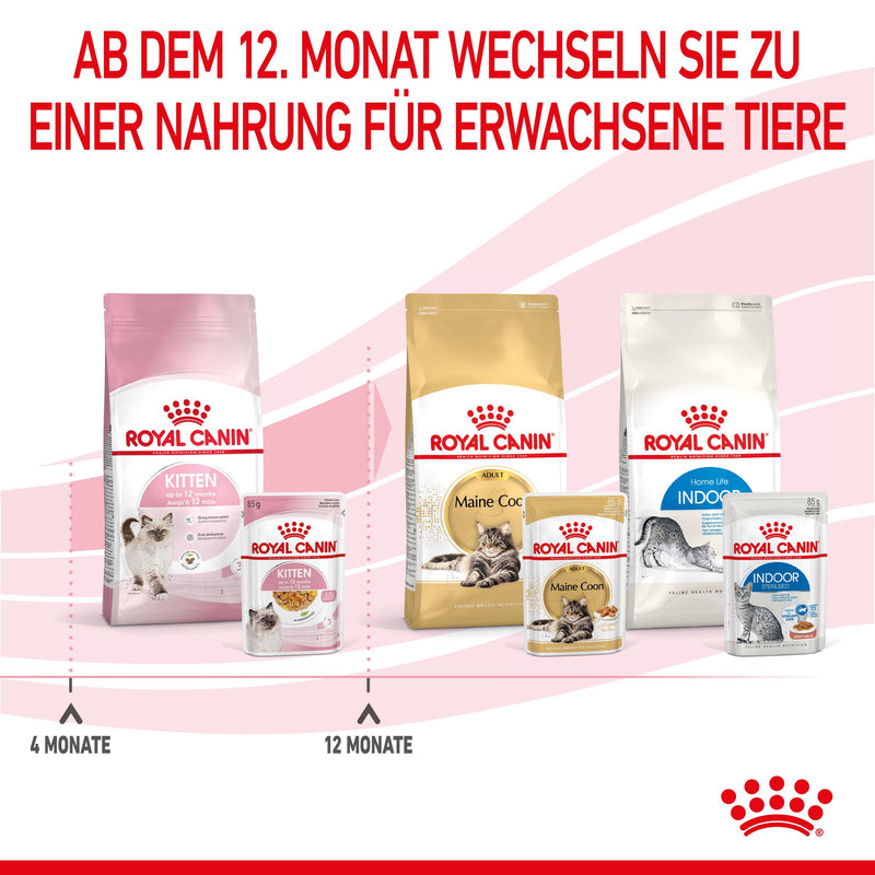 Royal Canin Kitten in Gelee Frischebeutel