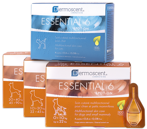 Selectavet Dermoscent Essential 6 spot-on Hautpflege für Katzen