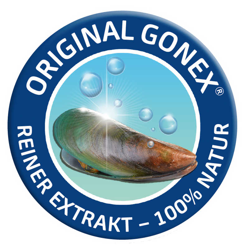 Canosan Hund mit Gonex von Boehringer Ingelheim