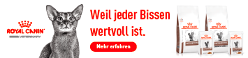 Nahrungen zur Unterstützung der Magen-Darm-Gesundheit Ihres Tieres. Card Image