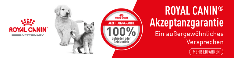 Regelmäßige Tierarztbesuche - darum ist es so wichtig! Card Image