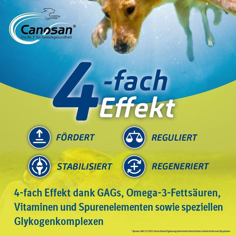 Canosan Hund mit Gonex von Boehringer Ingelheim