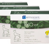 Selectavet Dermoscent PYOspot für Hunde