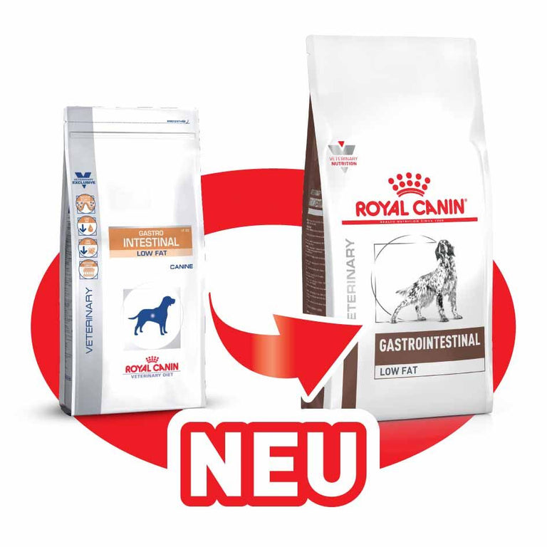 Gastro Intestinal Umstellung Card Image