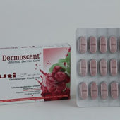 Selectavet Uti-Zen Hund + Katze Kautabletten