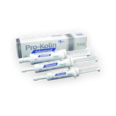 Pro-Kolin Advanced Hund