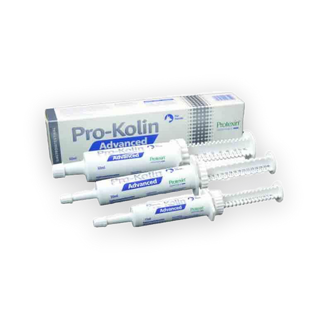Pro-Kolin Advanced Hund