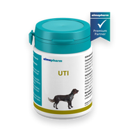 almapharm astoral UTI für Hunde