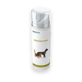 MethioCream für Hunde und Katzen