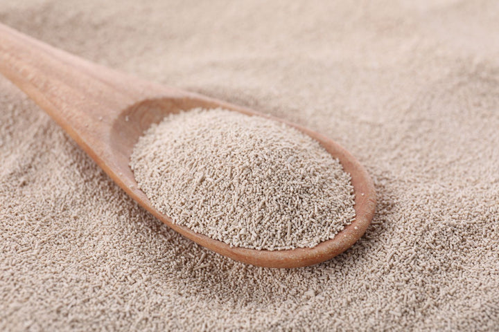 beta-1,3/1,6-Glucane