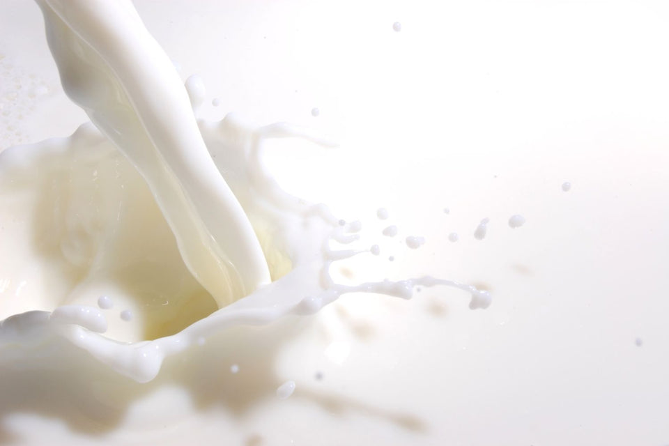 bioaktiver Milch-Extrakt