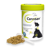 Canosan Hund mit Gonex von Boehringer Ingelheim