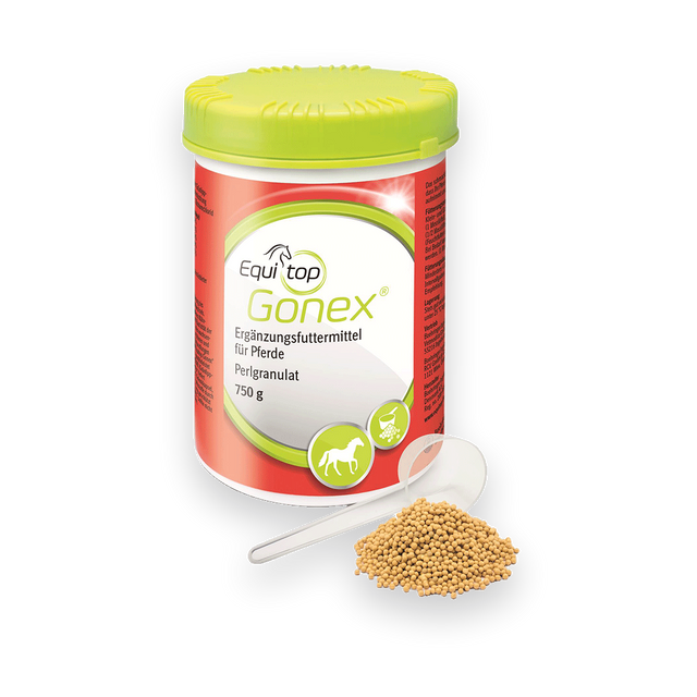 Equitop Gonex Pferd