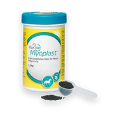 Boehringer Myoplast Pferd