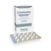 Dechra Cobalaplex fuer Hunde und Katzen 60 Kapseln